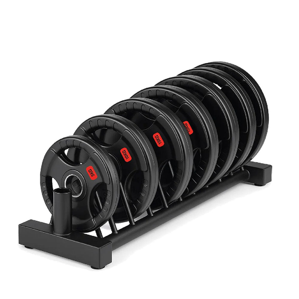 Standard Weight Plate Storage Rack