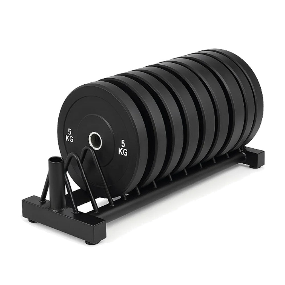 Standard Weight Plate Storage Rack