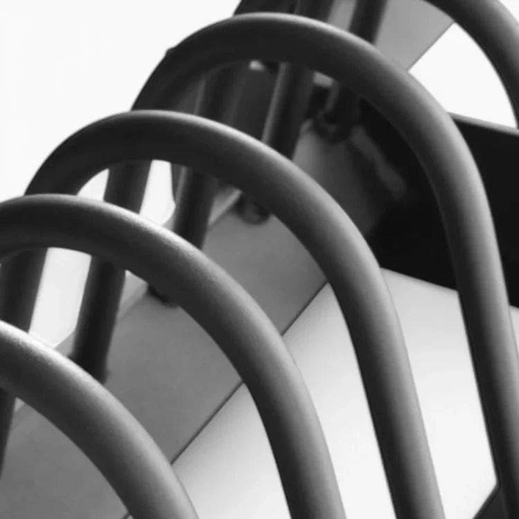 Extended Weight Plate Storage Rack