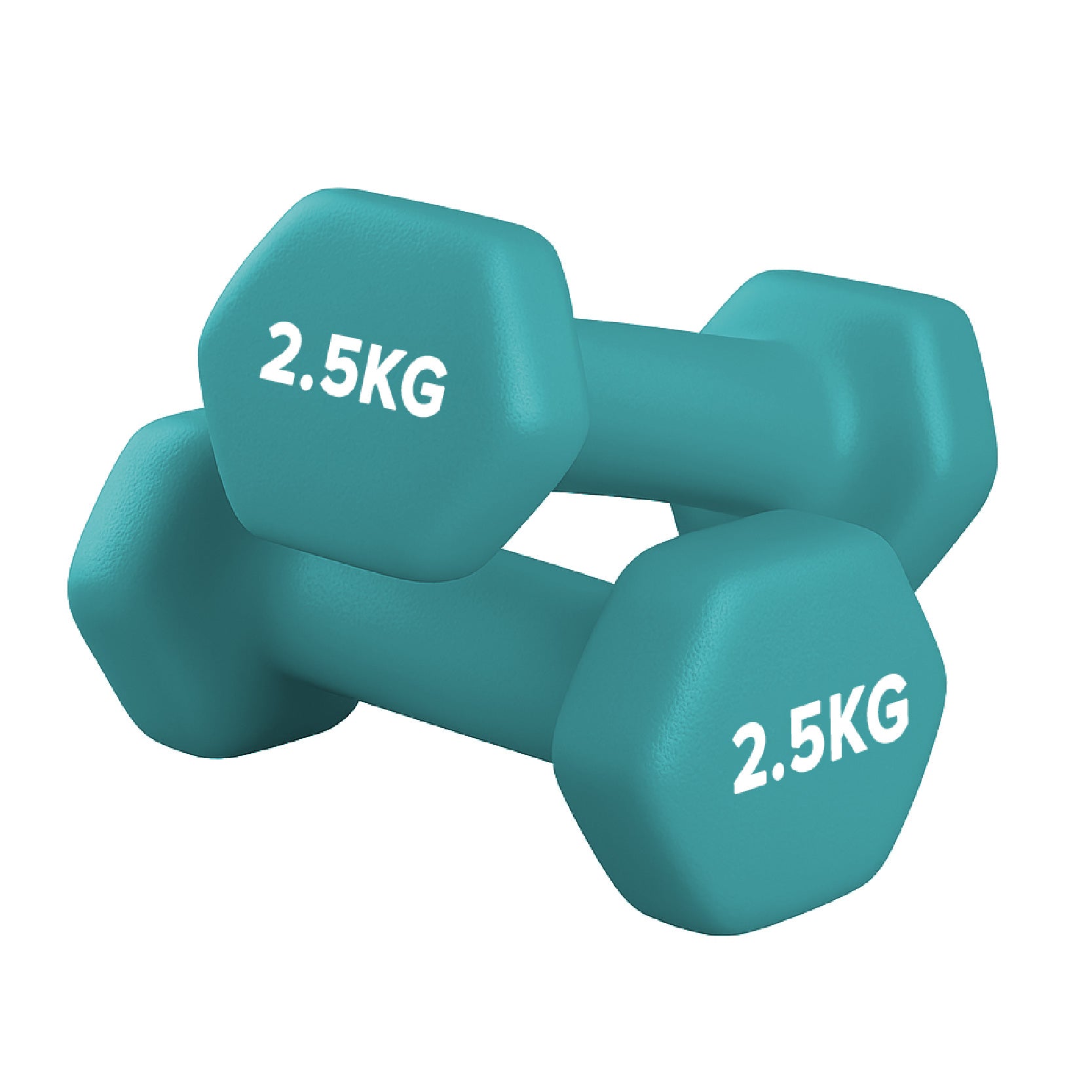 Neoprene Dumbbell Pair for Home Gym Strength Training