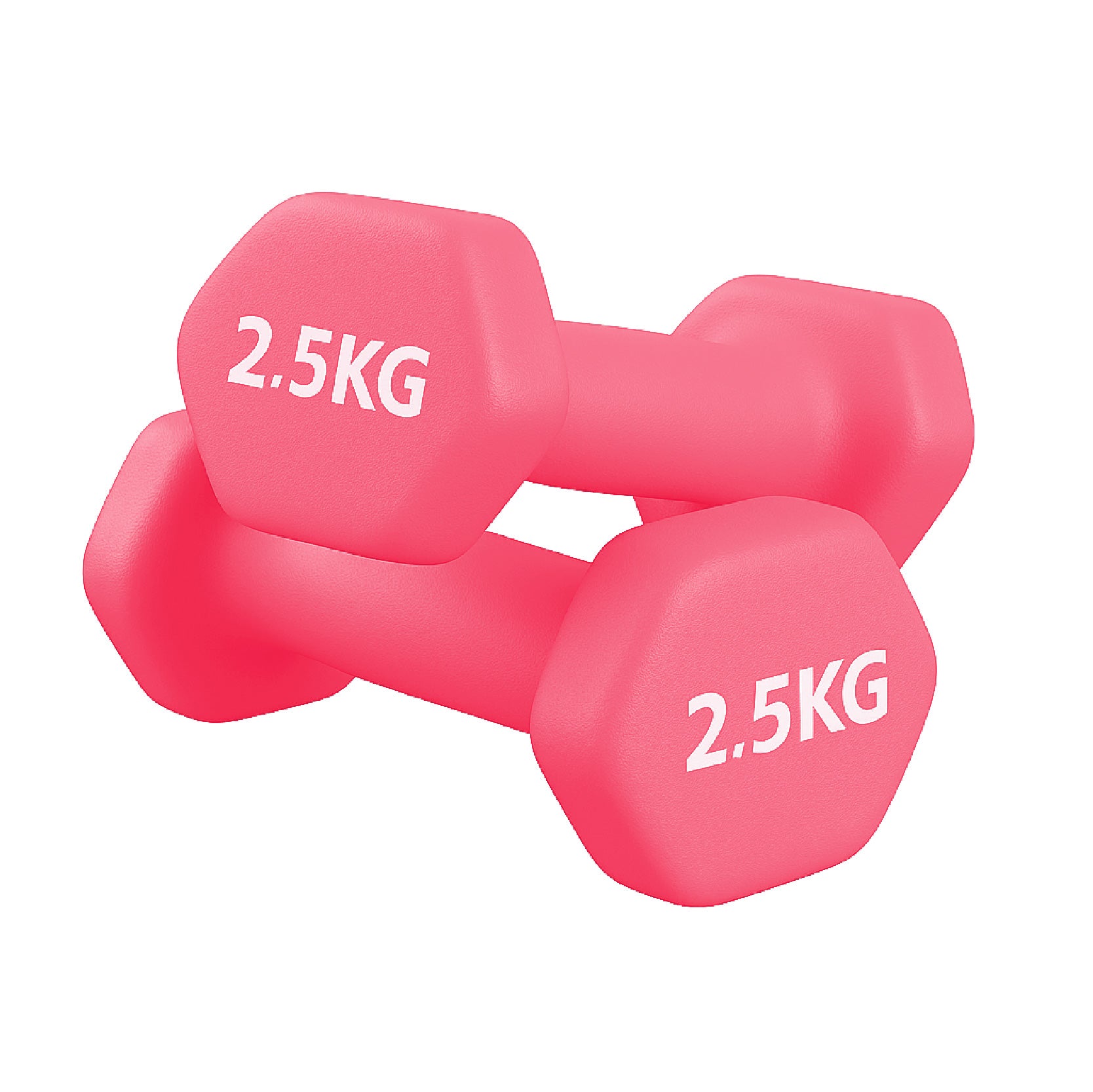 Neoprene Dumbbell Pair for Home Gym Strength Training