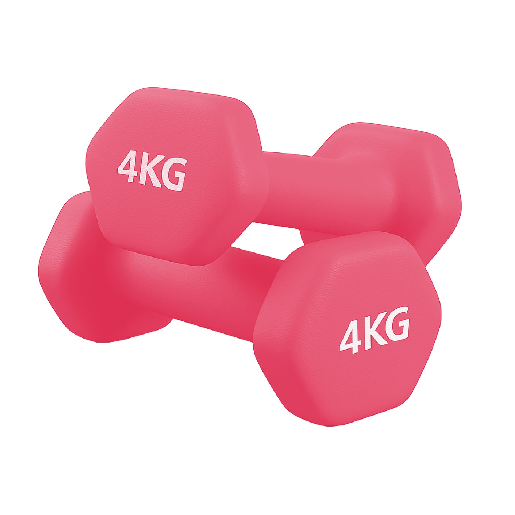 Neoprene Dumbbell Pair for Home Gym Strength Training