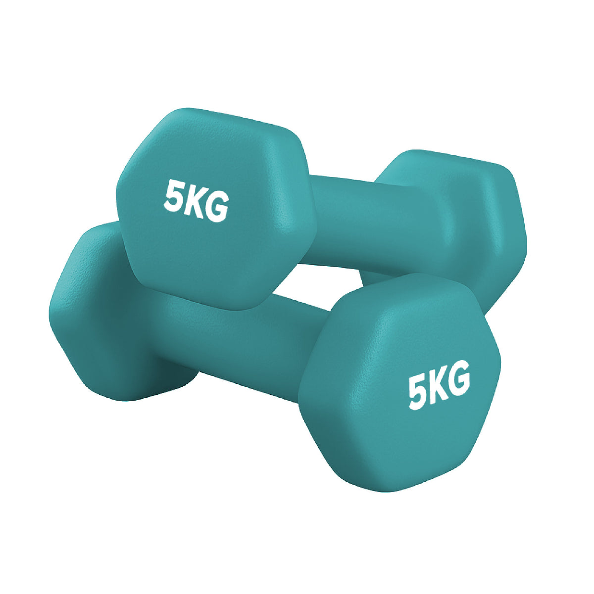 Neoprene Dumbbell Pair for Home Gym Strength Training