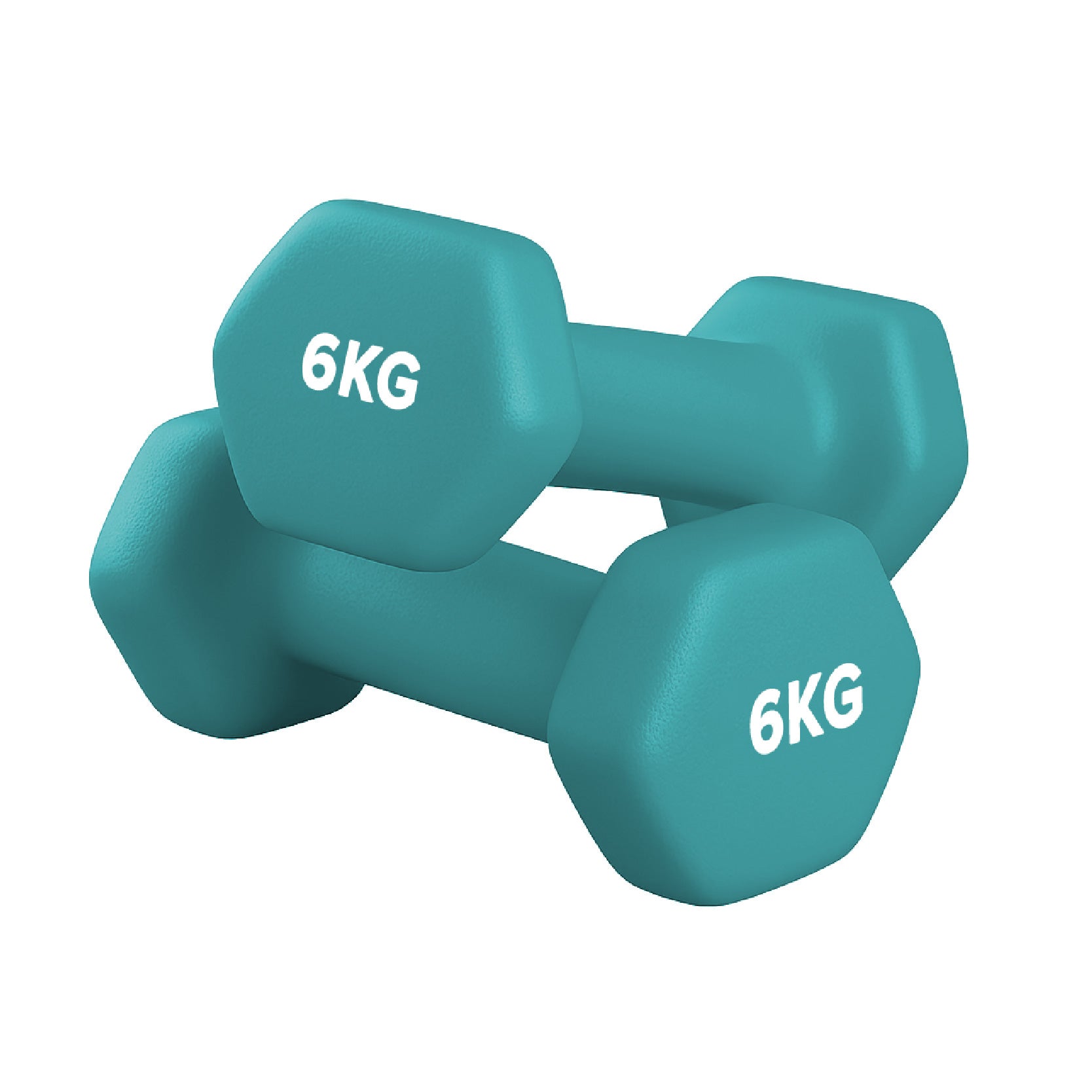 Neoprene Dumbbell Pair for Home Gym Strength Training