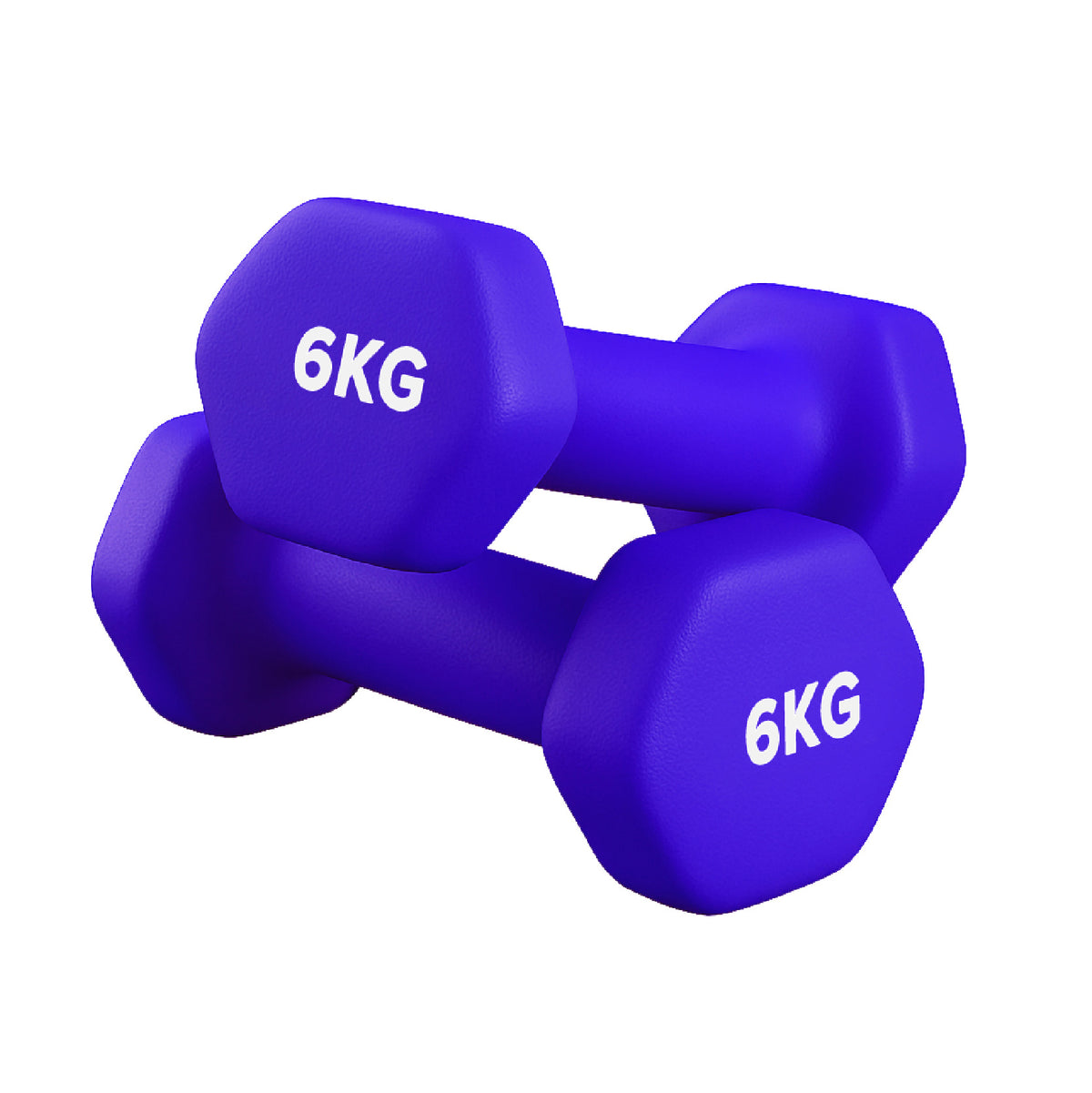 Neoprene Dumbbell Pair for Home Gym Strength Training
