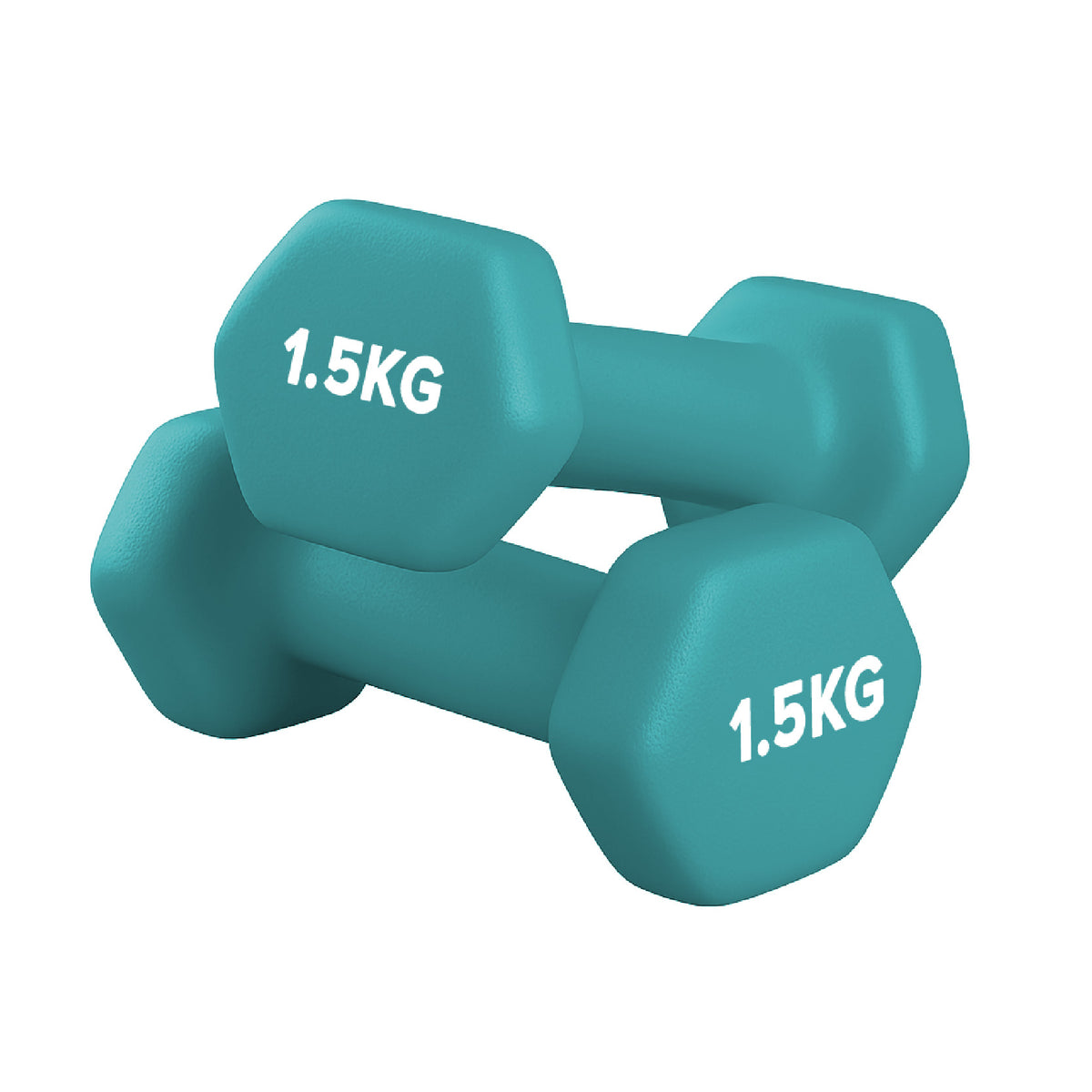 Neoprene Dumbbell Pair for Home Gym Strength Training