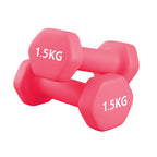Neoprene Dumbbell Pair for Home Gym Strength Training