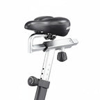 Assault Air Bike