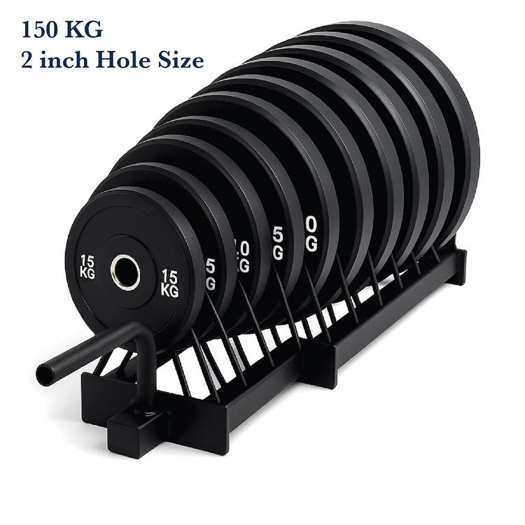 Extended Weight Plate Storage Rack