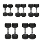 5 Tier Hex Dumbbell Set with Rack