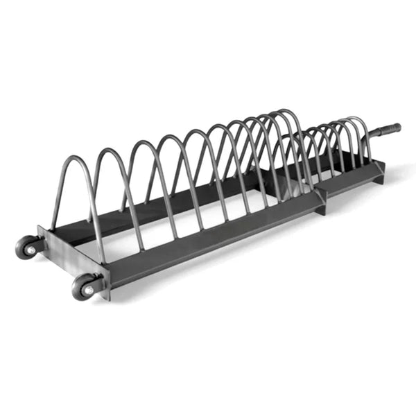 Extended Weight Plate Storage Rack for home gym organization, heavy-duty rack to store bumper plates safely and efficiently